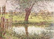 William Bell Scott Landscape with a Gate and Watermeadow (mk46) oil painting reproduction